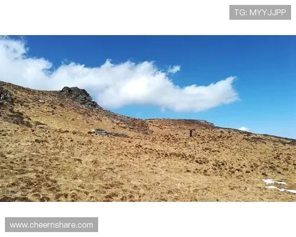 攀岩人生的深度对话：赵磊如何在高峰与挑战中找到自我