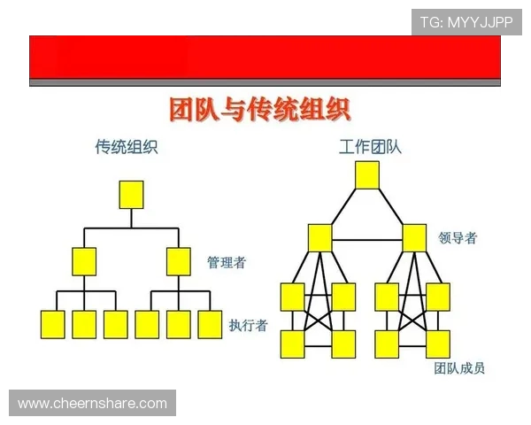 深圳篮球队在锦标赛中的团队协作表现分析与评价
