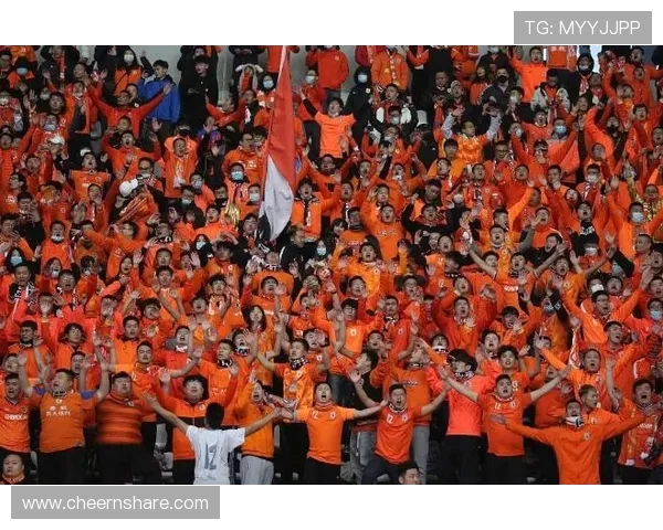 深圳网球队实力引发热议球迷与专家各执己见的背后故事