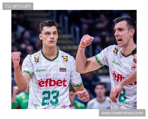 2013年俄罗斯男排对阵巴西精彩对决回顾与分析 2013年俄罗斯男排对阵巴西精彩对决回顾与分析