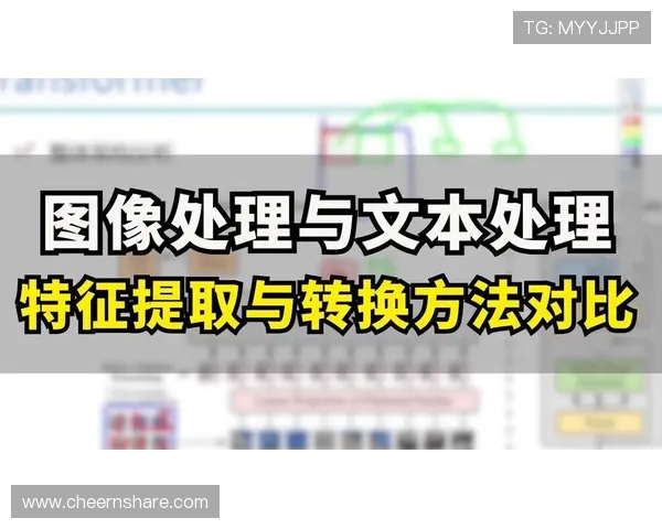 重庆乒乓球队心理素质深度对比与分析探讨