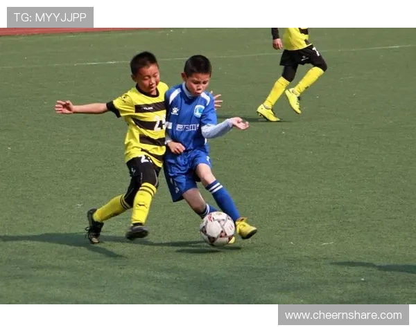 杭州极限运动队在比赛中的经验与表现分析与点评