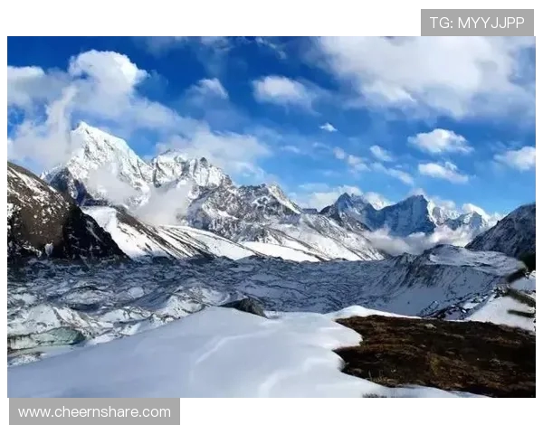 极限运动战术解析：北京极限运动队的防守反击体系探秘与实践